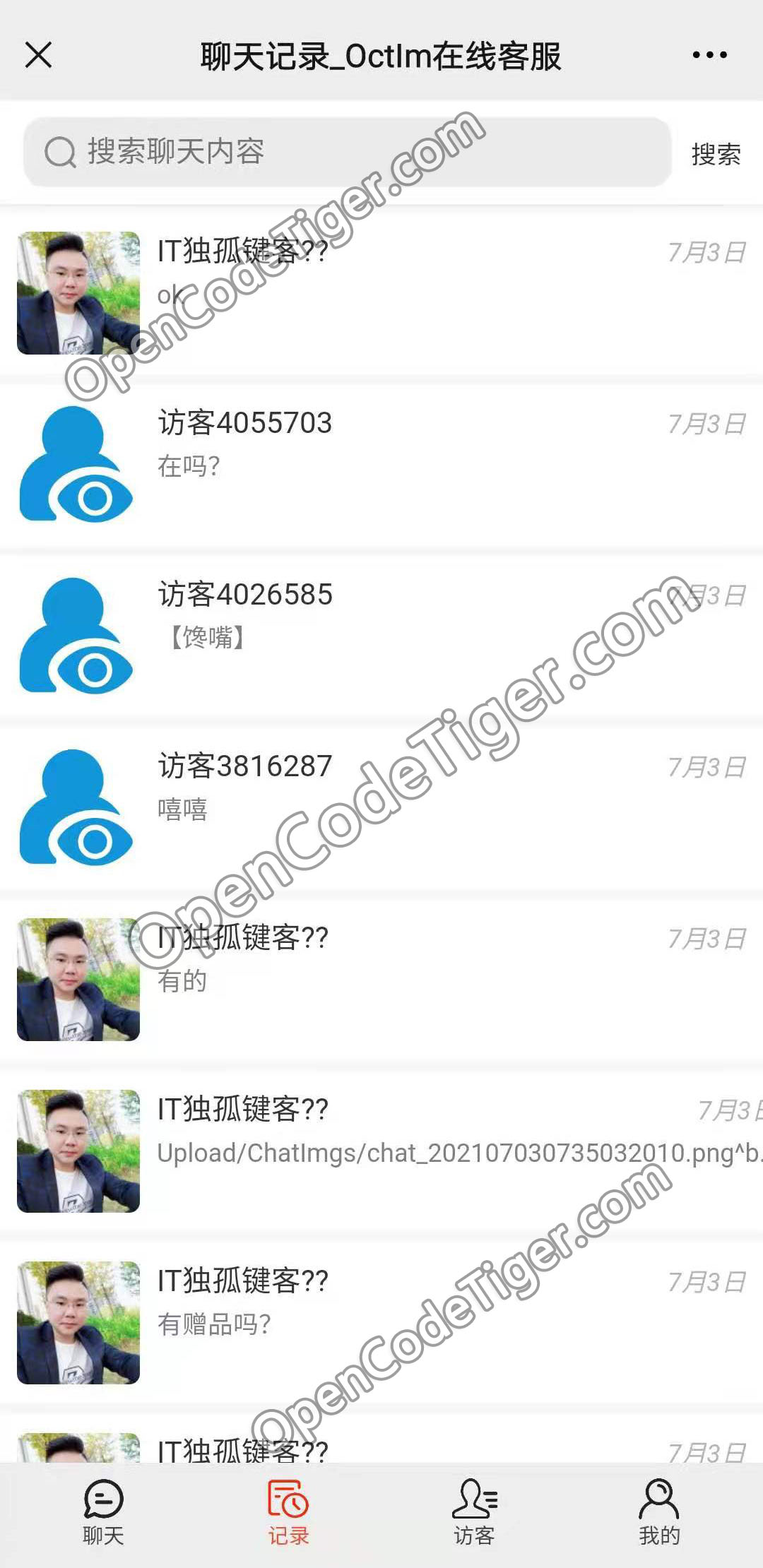 Octim 界面展示_OctIm免费在线智能客服系统